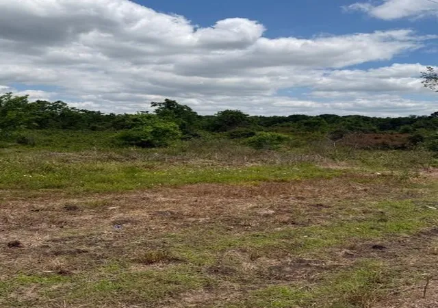 7th image of 1711 County Road 773, Angleton, TX 77515 | MLS# 58937547