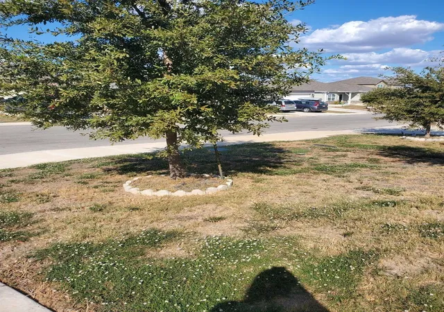 2nd image of 7120 Quarter Moon, Comfort, TX 78109 | MLS# 8307302