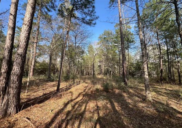 1st image of 3 17 3b Winchester Rd, Huntsville, TX 77340 | MLS# 83033489