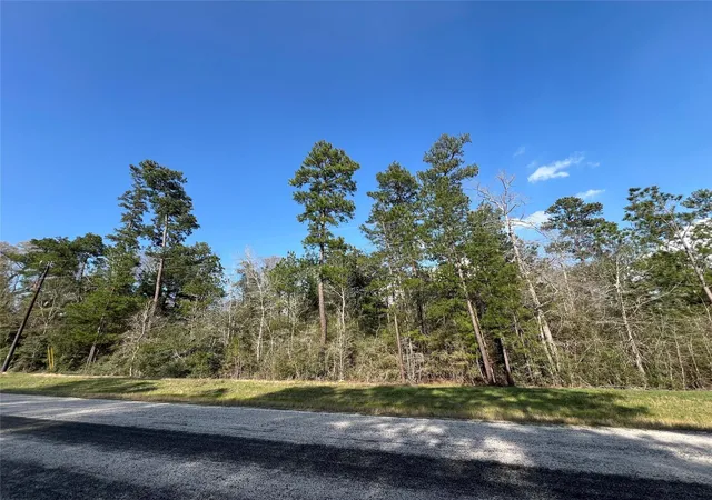 2nd image of 3 17 3b Winchester Rd, Huntsville, TX 77340 | MLS# 83033489