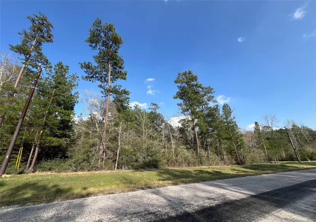 3rd image of 3-17-3B Winchester Rd, Huntsville, TX 77340 | MLS# 83033489