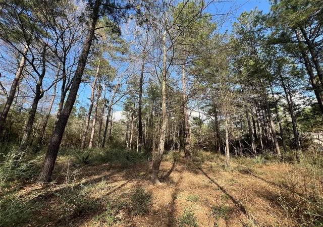4th image of 3-17-3B Winchester Rd, Huntsville, TX 77340 | MLS# 83033489