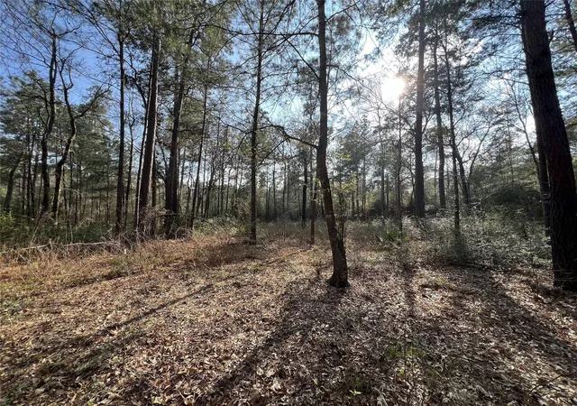 5th image of 3 17 3b Winchester Rd, Huntsville, TX 77340 | MLS# 83033489