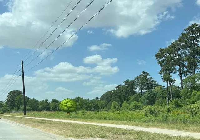 1st image of 0 State Hwy 249, Tomball, TX 77375 | MLS# 27797897