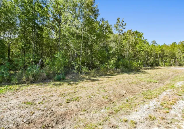 Photo 4 of Land for sale at 1723 Road 66118, Dayton, TX 77535 | MLS# 41715039 | Listing updated on 2026-07-30