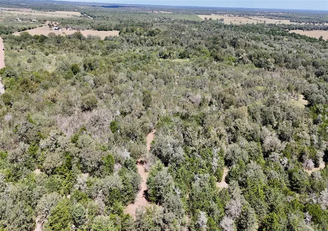 22nd image of Tbd Rosanky Rd, Flatonia, TX 78941 | MLS# 9629307
