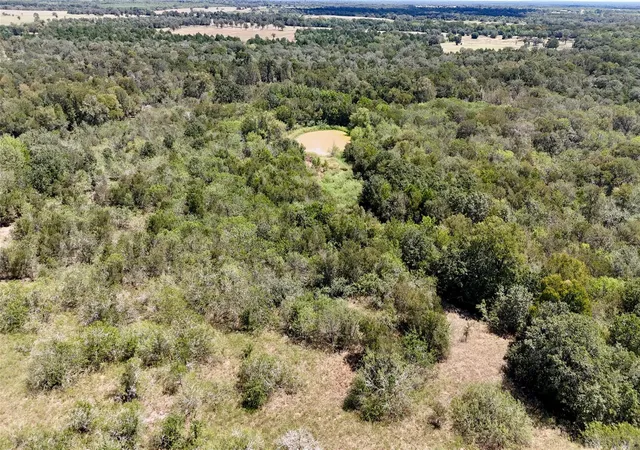 2nd image of Tbd Rosanky Rd, Flatonia, TX 78941 | MLS# 9629307