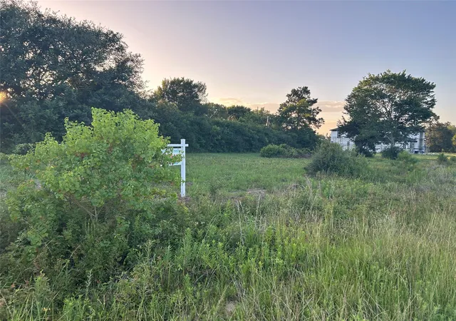 Homes for sale in Prairie View, TX | 0 Alleda, Prairie View, TX 77445 | MLS# 10679117