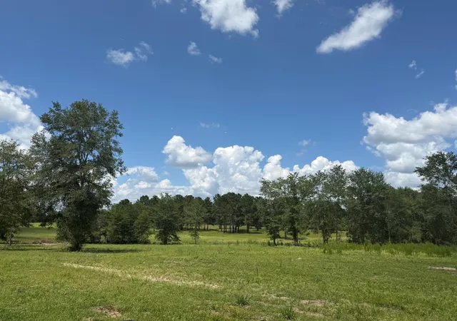 Homes for sale in Lovelady, TX | Tbd N County Road 4050 Tract 1 Road, Lovelady, TX 75851 | MLS# 7569178