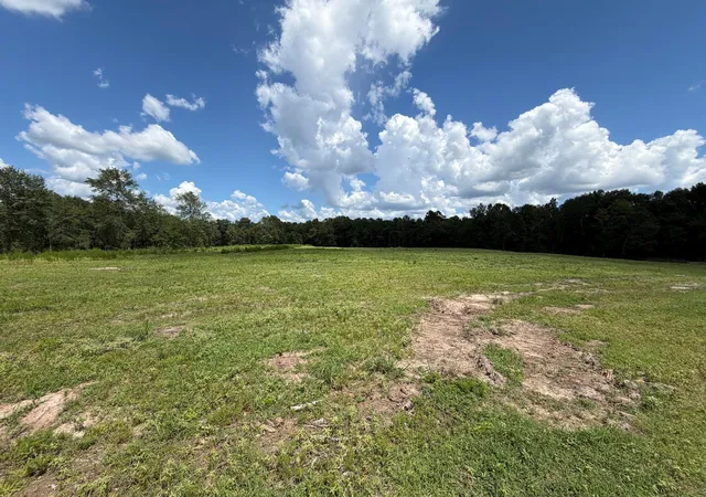 Homes for sale in Lovelady, TX | Tbd N County Road 4050 Tract 1 Road, Lovelady, TX 75851 | MLS# 7569178