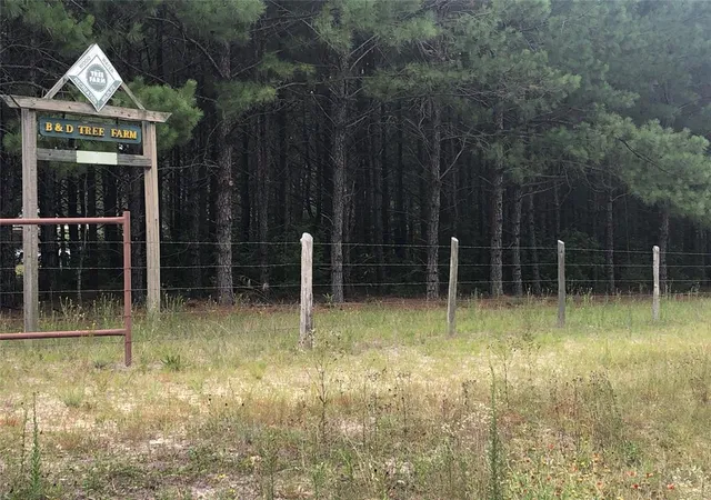 1st image of 13136 Fm 943, Livingston, TX 77351 | MLS# 88018392
