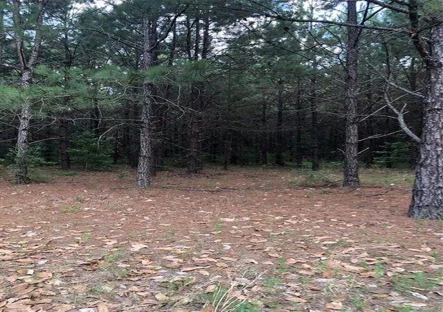 4th image of 13136 Fm 943, Livingston, TX 77351 | MLS# 88018392