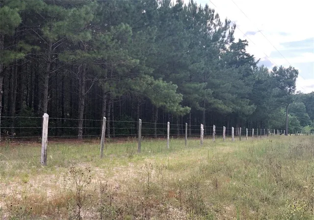 50th image of 13136 Fm 943, Livingston, TX 77351 | MLS# 88018392