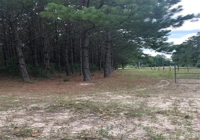 5th image of 13136 Fm 943, Livingston, TX 77351 | MLS# 88018392