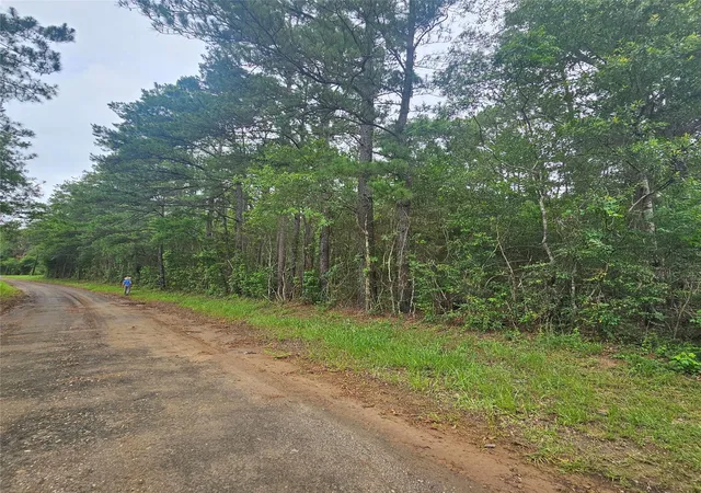 Homes for sale in Call, TX | 000 County Road 3110, Call, TX 75933 | MLS# 56346739
