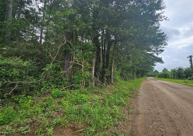 3rd image of 000 County Road 3110, Call, TX 75933 | MLS# 56346739