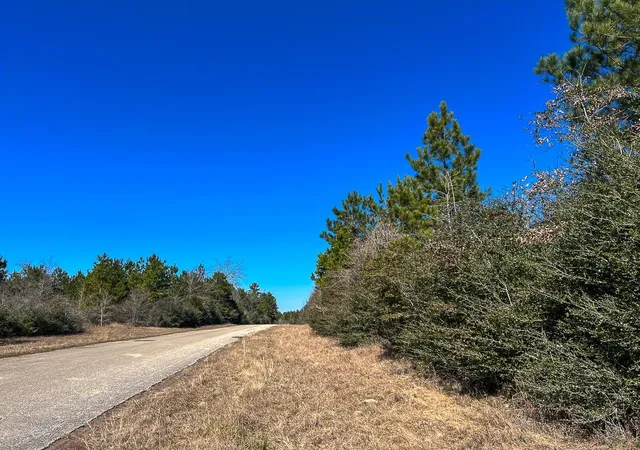 3rd image of T-2 Cr 2140, Crockett, TX 75835 | MLS# 51850134
