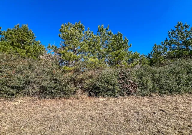 5th image of T-2 Cr 2140, Crockett, TX 75835 | MLS# 51850134