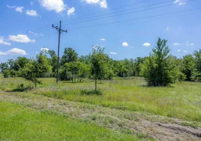 Homes for sale in Bedias, TX | 6534 Atakapan Trail, Bedias, TX 77831 | MLS# 8526991