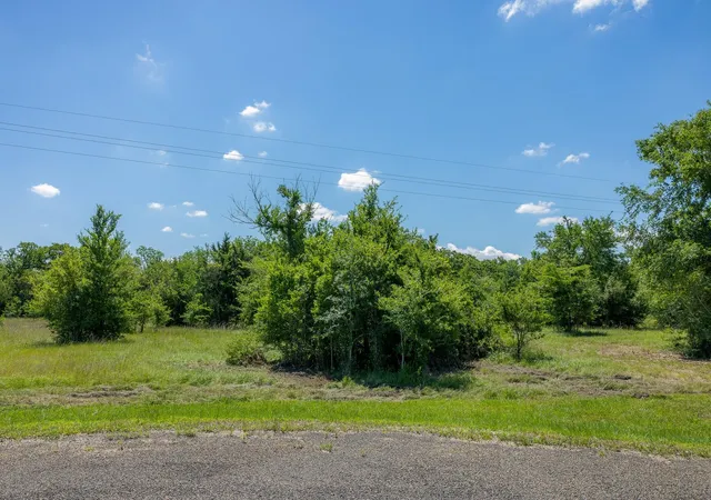 Homes for sale in Bedias, TX | 6534 Atakapan Trail, Bedias, TX 77831 | MLS# 8526991