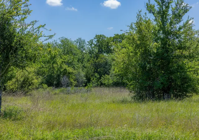 Homes for sale in Bedias, TX | 6534 Atakapan Trail, Bedias, TX 77831 | MLS# 8526991