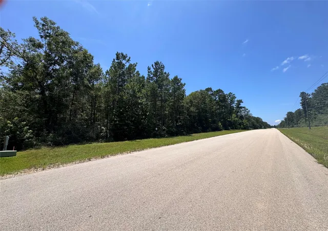 Homes for sale in New Waverly, TX | 284 Iron Horse Rd, New Waverly, TX 77358 | MLS# 39106282