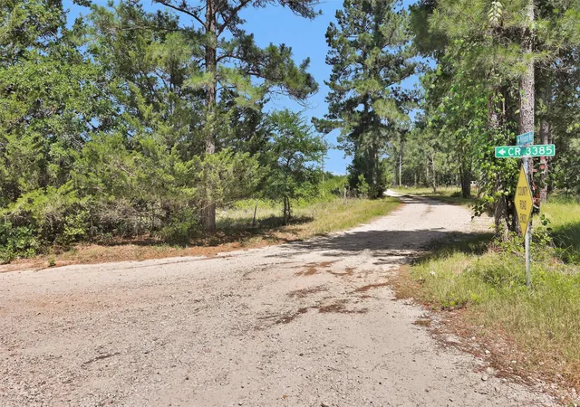 Homes for sale in Lovelady, TX | 0 Williamson Wy, Lovelady, TX 75851 | MLS# 10926792