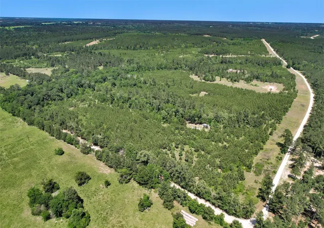 Homes for sale in Lovelady, TX | 0 Williamson Wy, Lovelady, TX 75851 | MLS# 10926792