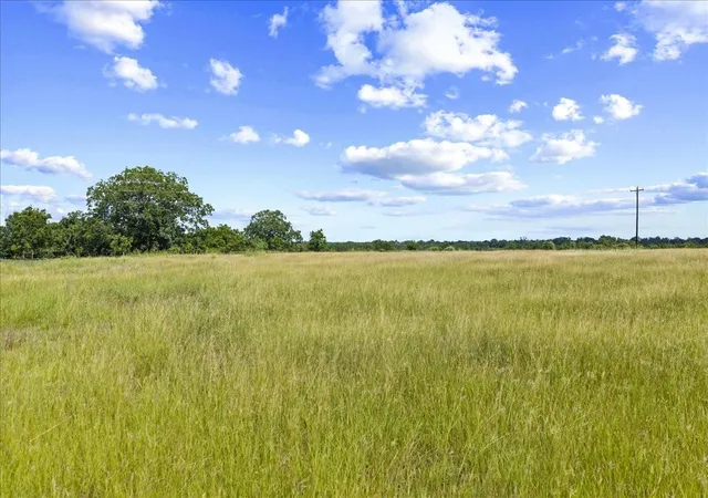 5th image of Tbd Tx 159, Fayetteville, TX 78940 | MLS# 94912404