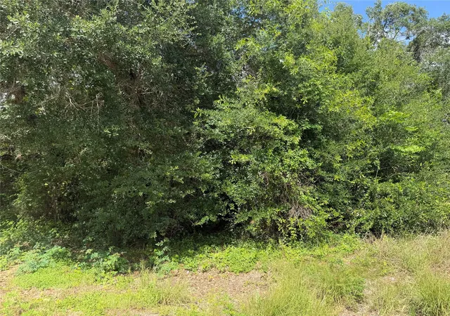 3rd image of 0 Cr 476, Blessing, TX 77419 | MLS# 56612730