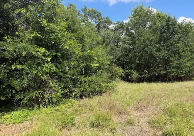 4th image of 0 Cr 476, Blessing, TX 77419 | MLS# 56612730