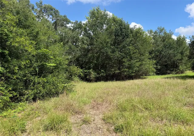 5th image of 0 Cr 476, Blessing, TX 77419 | MLS# 56612730