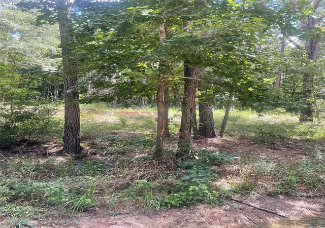 Photo 1 of Land for sale at 70 Tall Timbers Trl, Coldspring, TX 77331 | MLS# 80847216 | Listing updated on 2026-09-12