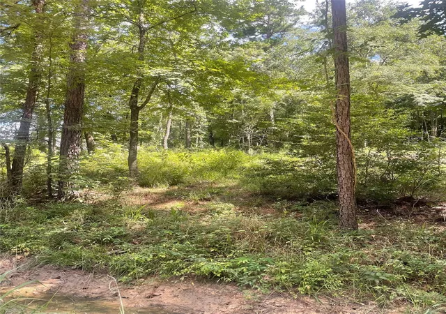 Photo 2 of Land for sale at 70 Tall Timbers Trl, Coldspring, TX 77331 | MLS# 80847216 | Listing updated on 2026-09-12
