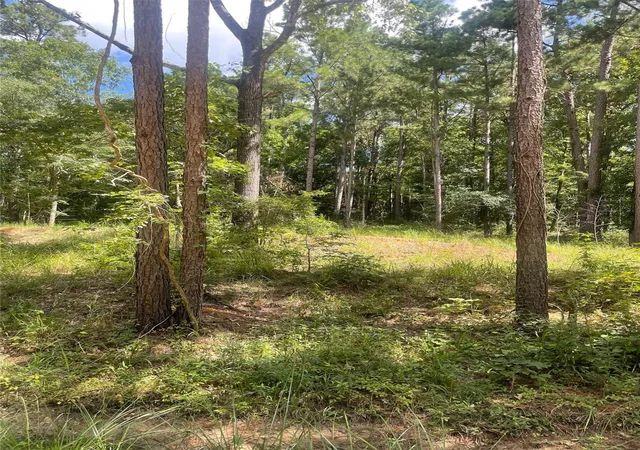Photo 3 of Land for sale at 70 Tall Timbers Trl, Coldspring, TX 77331 | MLS# 80847216 | Listing updated on 2026-09-12