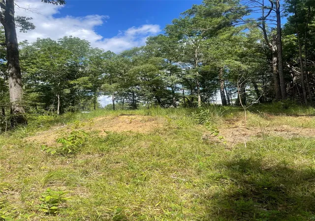 Photo 4 of Land for sale at 70 Tall Timbers Trl, Coldspring, TX 77331 | MLS# 80847216 | Listing updated on 2026-09-12