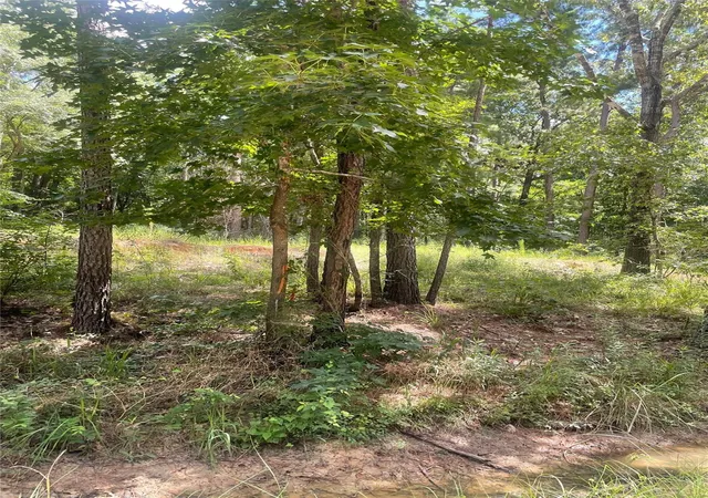 Photo 7 of Land for sale at 70 Tall Timbers Trl, Coldspring, TX 77331 | MLS# 80847216 | Listing updated on 2026-09-12