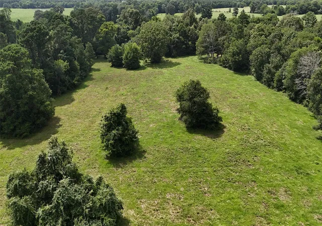 2nd image of 0000 Jones Rd Rd, New Waverly, TX 77358 | MLS# 8177786