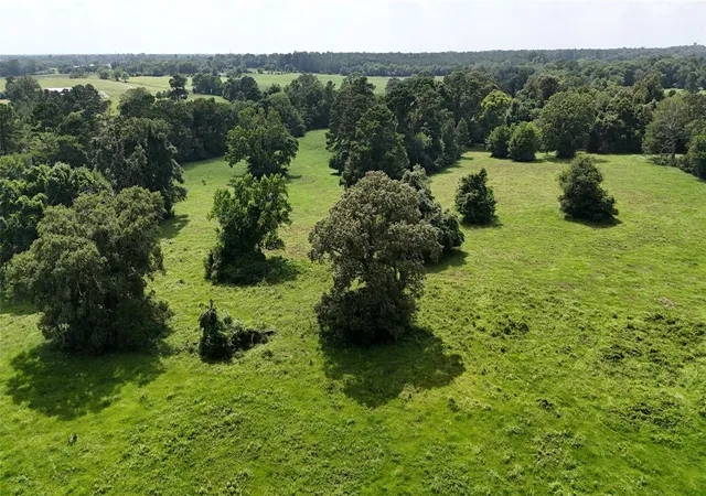 3rd image of 0000 Jones Rd Rd, New Waverly, TX 77358 | MLS# 8177786