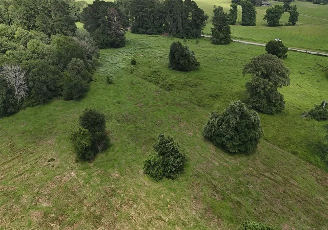 9th image of 0000 Jones Rd Rd, New Waverly, TX 77358 | MLS# 8177786