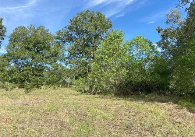 Photo 2 of Land for sale at Tbd Sour Lake Cir, Cleveland, TX 77327 | MLS# 73246974 | Listing updated on 2026-10-13