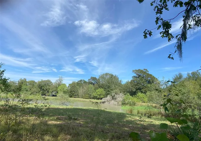 Photo 3 of Land for sale at Tbd Sour Lake Cir, Cleveland, TX 77327 | MLS# 73246974 | Listing updated on 2026-10-13