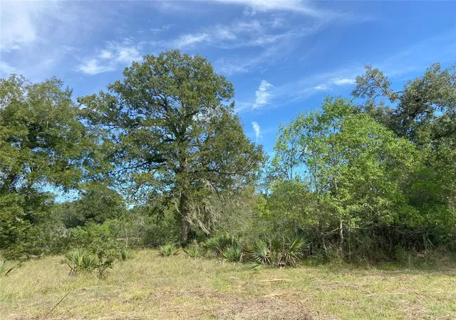 Photo 4 of Land for sale at Tbd Sour Lake Cir, Cleveland, TX 77327 | MLS# 73246974 | Listing updated on 2026-10-13