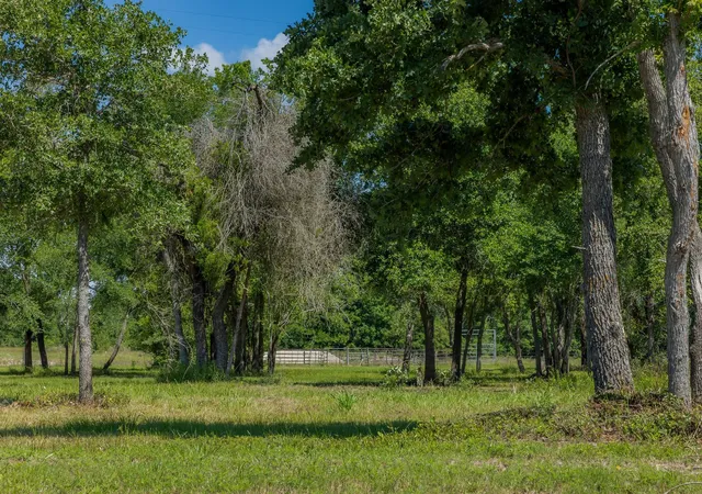 Homes for sale in Bedias, TX | 6705 Atakapan Trail, Bedias, TX 77831 | MLS# 56831845