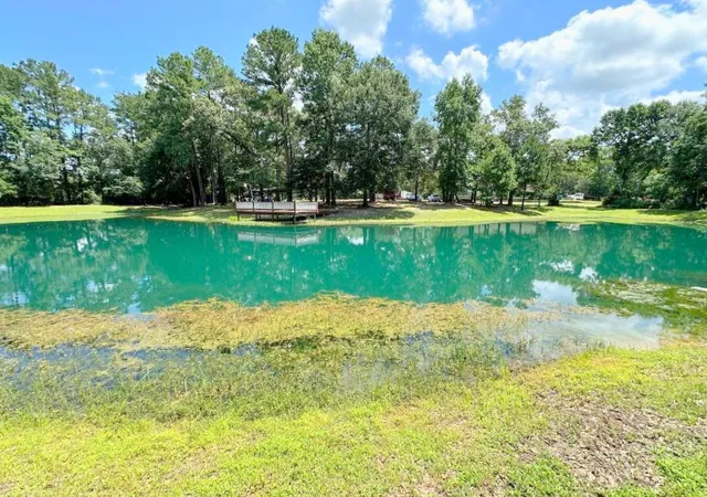 Photo 1 of Land for sale at 25920 Grand Pines, Magnolia, TX 77355 | MLS# 65007680 | Listing updated on 2026-08-24