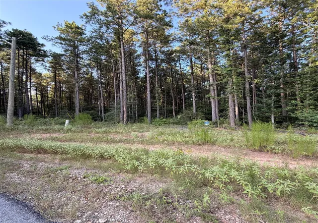 4th image of Tbd000 Queen Anne Wy, Huntsville, TX 77340 | MLS# 15365089