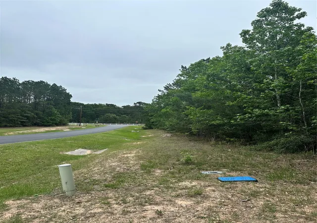 2nd image of 28117 Horse Shoe Lane Lane, Waller, TX 77484 | MLS# 61858486