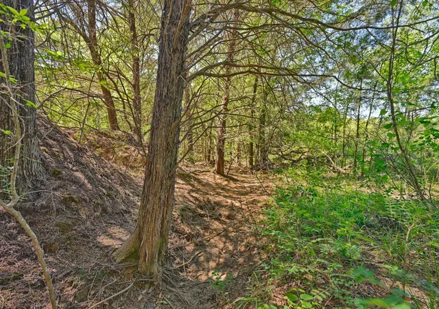 2nd image of Tbd Lcr 704, Kosse, TX 76653 | MLS# 33505943