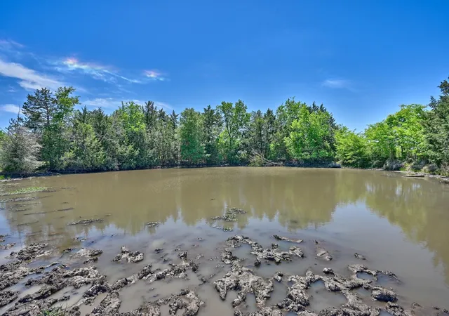 3rd image of Tbd Lcr 704, Kosse, TX 76653 | MLS# 33505943