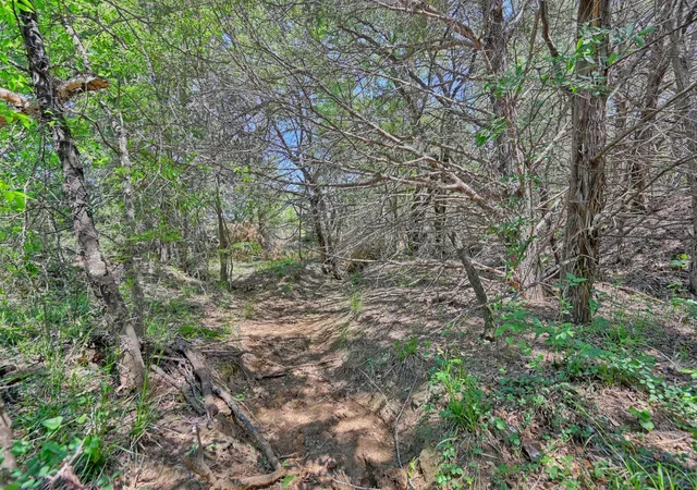 5th image of Tbd Lcr 704, Kosse, TX 76653 | MLS# 33505943